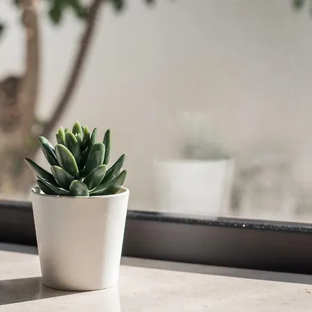 Laurent - Beachfront And Center Apartman *